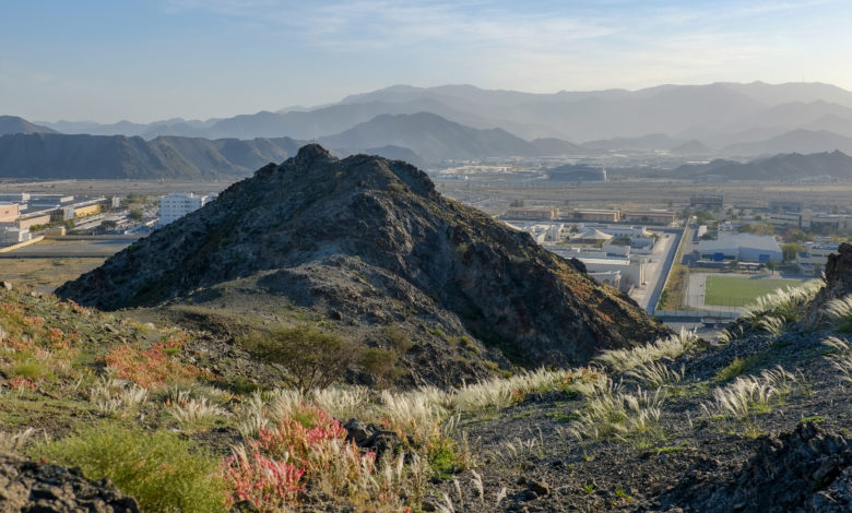 Photo of Before 2012 – After 2020