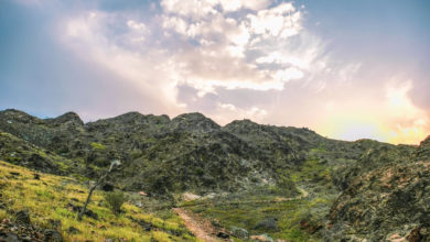 Photo of Fujairah Adventure Park