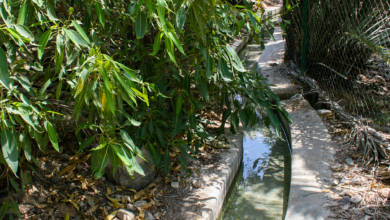 Photo of Falaj Irrigation System