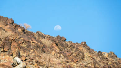 Photo of Understanding The Moon Phases