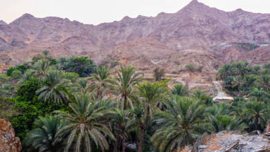 Photo of Discover Fujairah: Al Tayiba
