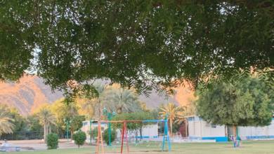 Photo of Exploring Fujairah and the Emirates from A to Z: Parks