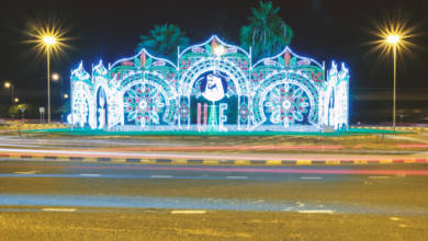 Photo of UAE National Day 2020 in photos