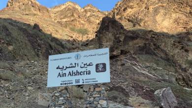 Photo of Discover Fujairah: The Geological Trail,  Ain Al Sheria