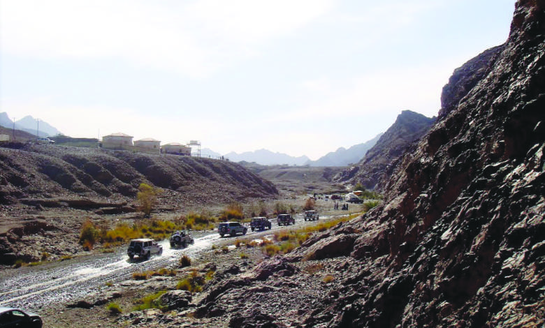 Discover East Coast: Wadi Bashing - Fujairah Observer