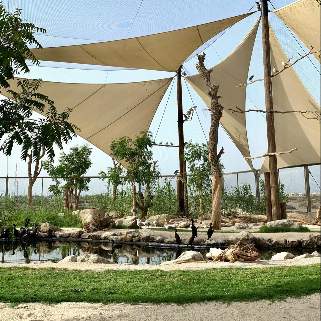 Khor Kalba Conservation Reserve