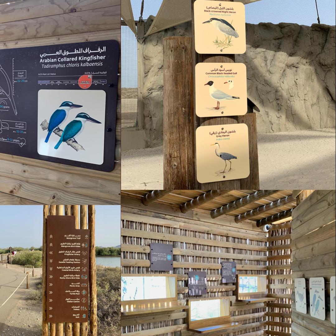 Khor Kalba Conservation Reserve