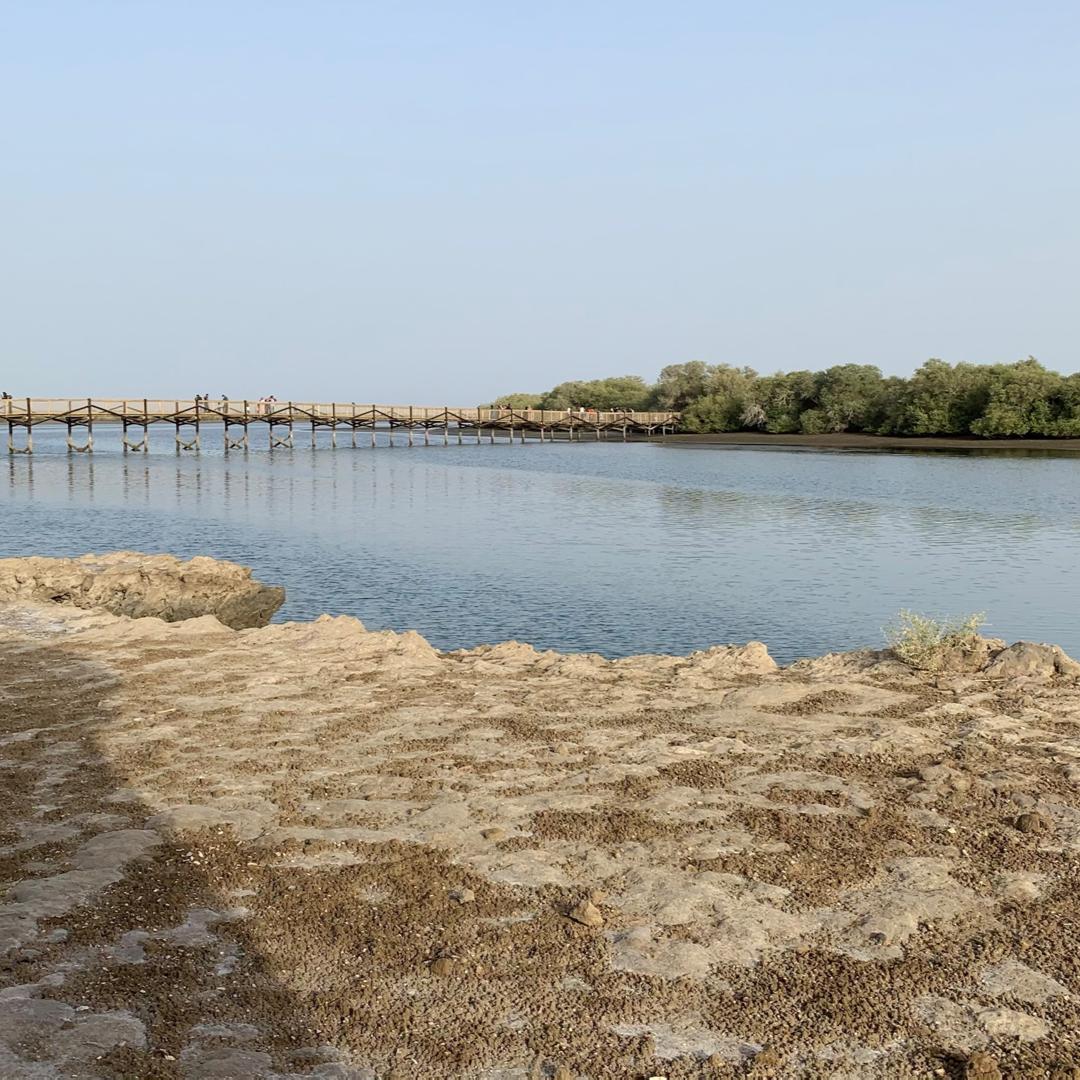 Khor Kalba Conservation Reserve