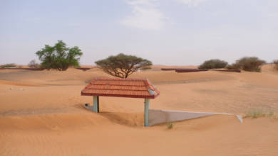 Photo of Exploring the Emirates: Al Madam ghost town