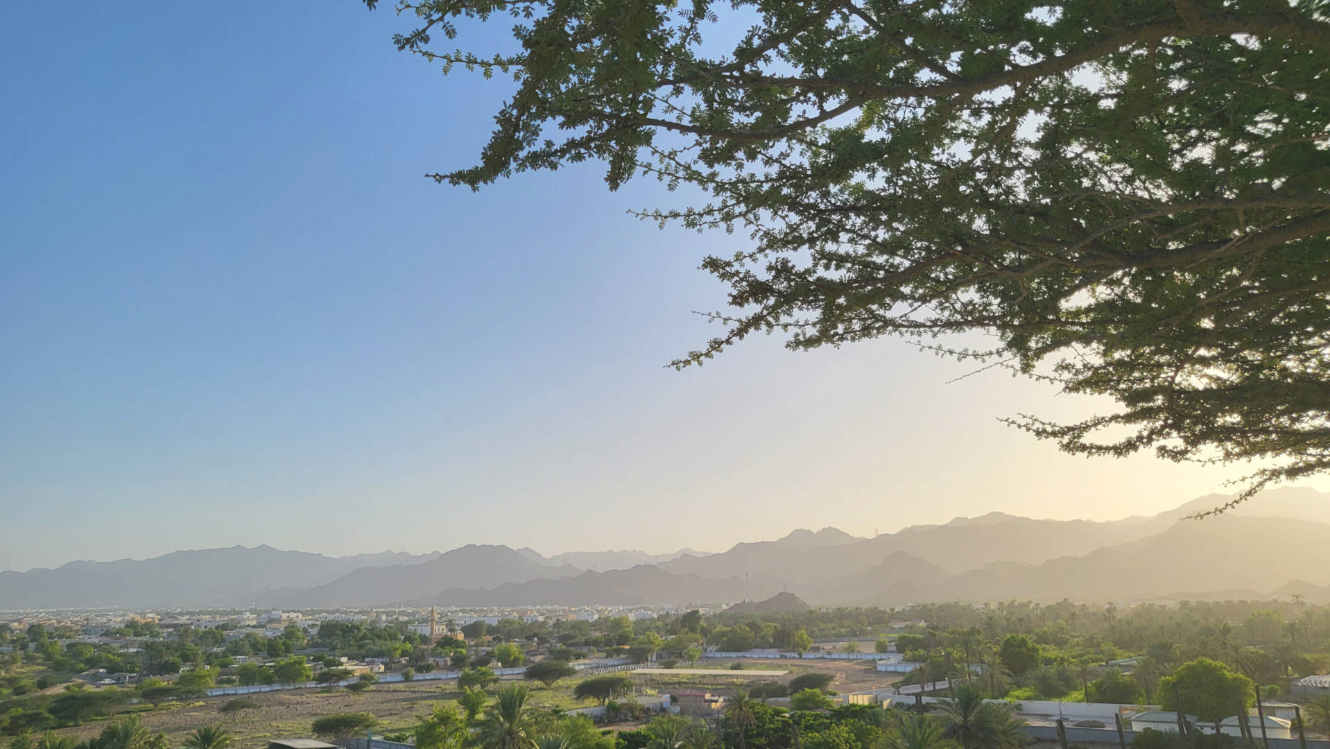 Al Bidya Hiking Trail