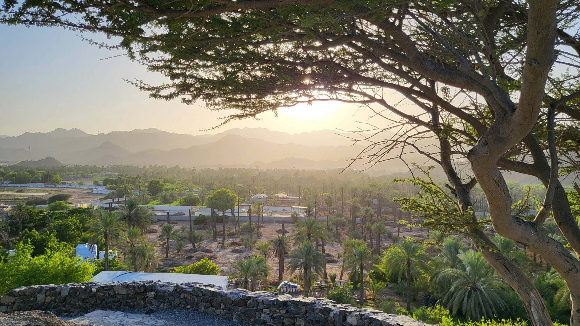 Al Bidya Hiking Trail