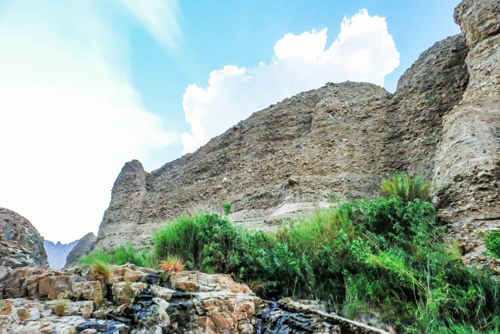 Wadi Wurayah National Park in khorfakkan tours