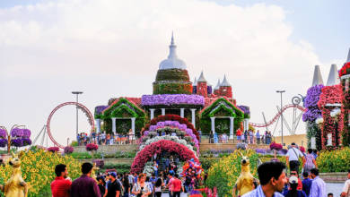 Photo of Exploring the Emirates: Miracle Garden