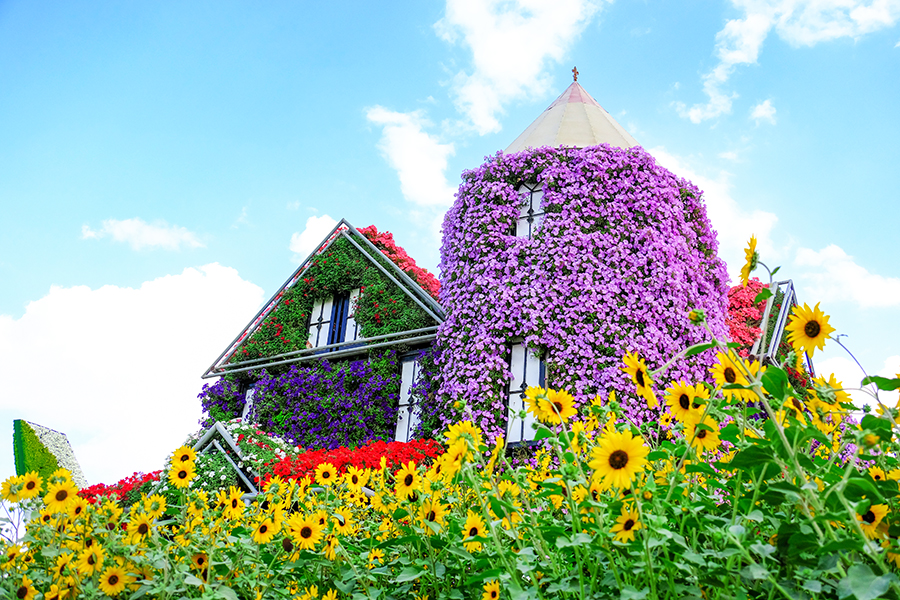 Dubai Miracle Garden