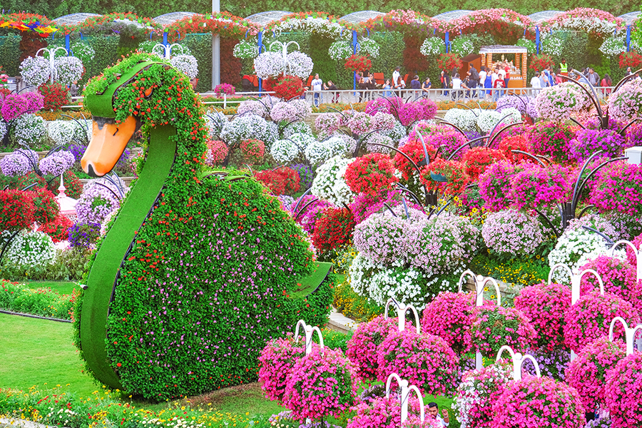 Dubai Miracle Garden