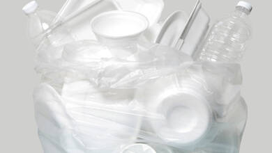 Photo of UAE to ban single-use plastic shopping bags