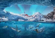 Photo of SeaWorld Yas Island, Abu Dhabi world’s largest indoor marine-life theme park