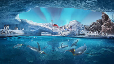 Photo of SeaWorld Yas Island, Abu Dhabi world’s largest indoor marine-life theme park