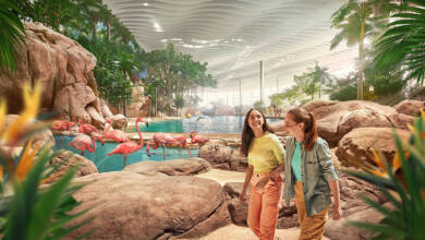 Photo of SeaWorld® Yas Island Abu Dhabi