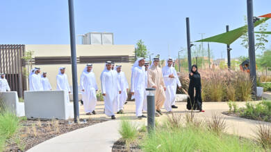 Photo of Zayed Educational Complexes project