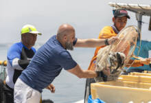 Photo of Warner Bros. Discovery Partners with Fujairah Holding for New Series “Arabian Shores”