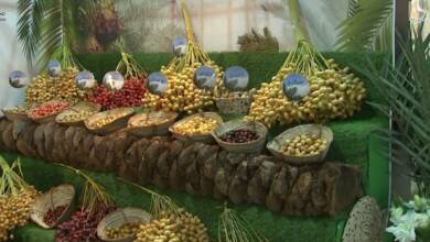 Photo of Sharjah Chamber finalises preparations for 9th Al Dhaid Date Festival, set to open on July 23rd