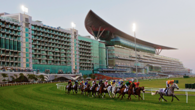Photo of Your Complete Guide to the Dubai World Cup 2026!