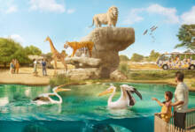 Photo of Dubai Safari Park announces last chance to visit the park during its 7th season with limited-time offers