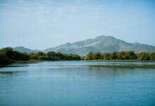 Photo of Kalba’s Kingfisher Retreat presents low-impact tourism model built around mangroves and wildlife conservation