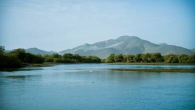 Photo of Kalba’s Kingfisher Retreat presents low-impact tourism model built around mangroves and wildlife conservation
